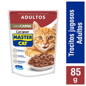 Alimento Húmedo Gato Adulto Master Cat Carne Asada 85 g