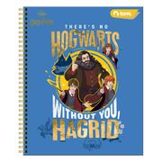 Cuaderno Clásico Harry Potter 7 mm 100 Hojas