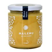 Miel Pura de Abejas Mailemu Bosque Nativo 550 g