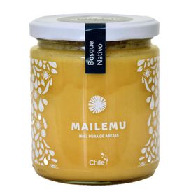 Miel Pura de Abejas Mailemu Bosque Nativo 550 g