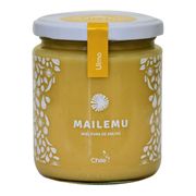 Miel Pura de Abejas Mailemu Ulmo 550 g