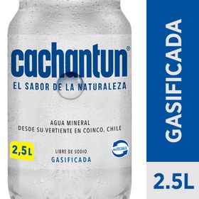 Agua Con Gas Cachantún 2.5 L