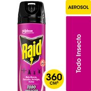 Insecticida Raid Mata Todo Insectos Aerosol 360 ml