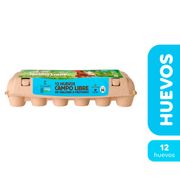 Huevos Ecoterra Gallinas Libres Grandes 12 un.