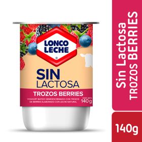Yogurt sin Lactosa Sabor Berries 140 g