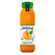 Jugo Quillayes Mango 900 ml