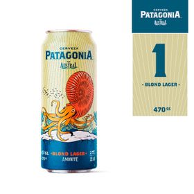 Cerveza Patagonia Blond Lager 4.5° 470 cc