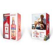 Pack Licor Ramazzotti 15° 700 cc + Gin Beefeater 40° 750 cc