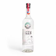 Gin Quintal Franklin 43° 700 cc