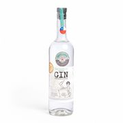 Gin Quintal Los Andes #1 43° 700 cc