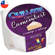 Queso Camembert Quillayes Envasado Trozo 100 g