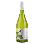 Vino Orgánico Casas del Bosque Gran Reserva Sauvignon Blanc 750 cc