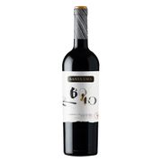 Vino Santa Ema 60/40 Gran Reserva Ensamblaje 750 cc