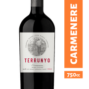 Vino Terrunyo Carmenere 750 cc