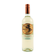 Vino Terra Andina Sauvignon Blanc 750 cc