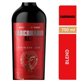 Vino Cabernario Cabernet Red Blend 2020 13.5° 750 cc