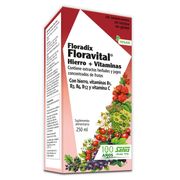 Jarabe Floravital Floradix 250 ml