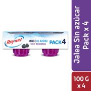 Pack 4 un. Jalea Regimel Arándano 100 g