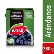 Arandanos Wasil 200 g drenado, 380 g neto