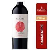 Vino Carmen V Lustros Carmenere 750 cc