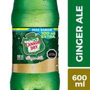 Bebida Ginger Ale 600 cc