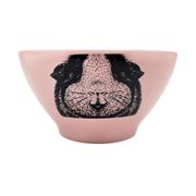 Bowl Cerámico Animales Exóticos Cuy 500 ml