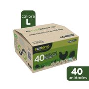 Huevos Ecoterra Extra Grandes 40 un.