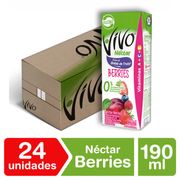 Caja 24 un. Néctar Vivo Berries 190 ml